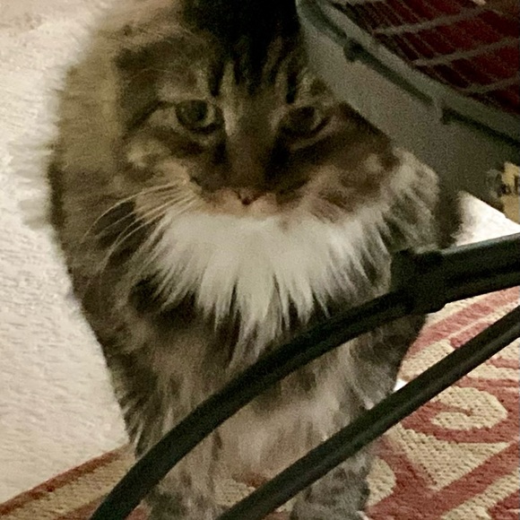 Welcome! - Picture 4 of 5